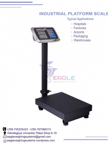 weighing-floor-scales-at-eagle-weighing-systems-ltd-big-0