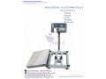 a12e-platform-weighing-scales-small-0