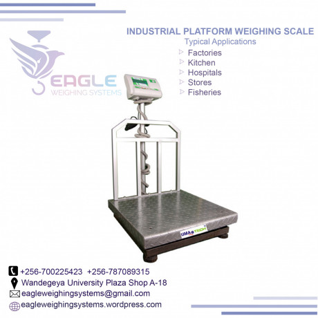 electronic-platform-weighing-digital-scalebalance-in-kampala-big-0