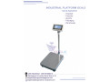 electronic-platform-digital-weighing-scale-with-railing-small-0