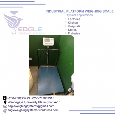 1000-kg-digital-weighing-scales-in-kampala-uganda-big-0