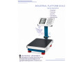 eagle-scales-300-kg-platforms-in-kampala-small-0