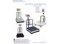 stainless-steel-top-platform-scale-with-rail-small-0