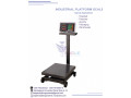 portable-platform-digital-electric-weight-scales-small-0