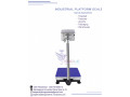 digital-weighing-scales-electronics-platform-scale-balance-small-0