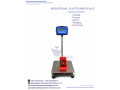 factory-use-electronic-digital-platform-weighing-scales-small-0