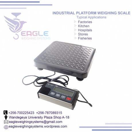 platform-weighing-scale-bench-digital-type-in-kampala-big-0