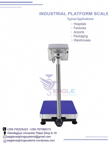 weighing-floor-scales-at-eagle-weighing-systems-ltd-big-0