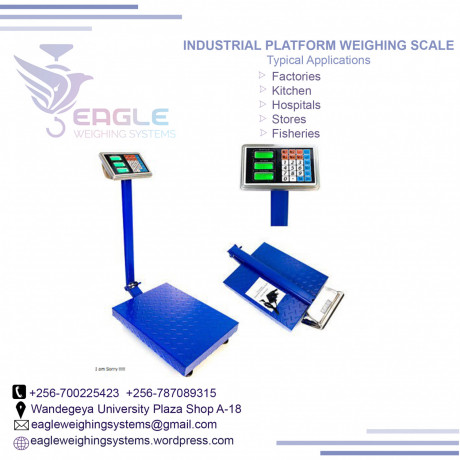 electronic-bench-type-iron-cast-platform-weighing-scales-in-kampala-big-0