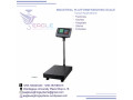 portable-platform-digital-electric-weight-scales-in-kampala-small-0