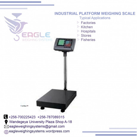 portable-platform-digital-electric-weight-scales-in-kampala-big-0