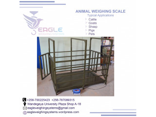 Suppliers of electronic digital Animal scales in kampala