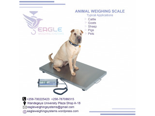 Pet platform weighing scales in Kampala