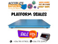 256-0-256-0-durability-are-key-attributes-of-our-floor-platform-scales-nakawa-small-0