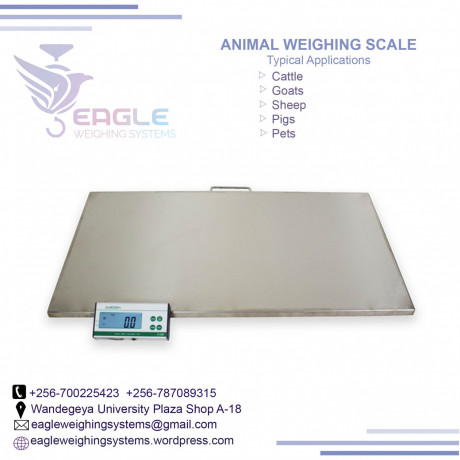 weighing-machine-5000kg-on-sale-at-eagle-weighing-scales-in-kampala-big-0