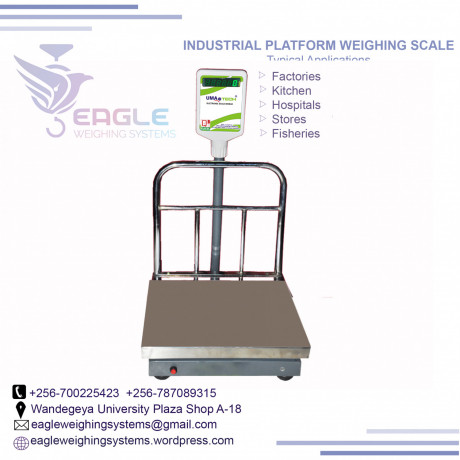 industry-platform-floor-weighing-scales-in-mukono-big-0