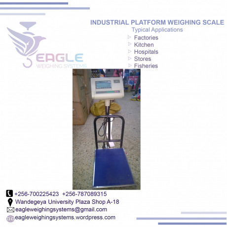 large-platform-electronic-dog-pet-scale-animal-scale-postal-scale-in-mukono-big-0