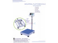 electronic-bench-type-iron-cast-platform-weighing-scales-small-0