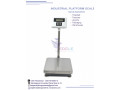 portable-platform-digital-electric-weight-scales-small-0