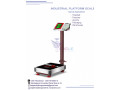 digital-weighing-scales-electronics-platform-scale-balance-small-0