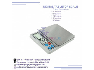 Stainless steel material table top weighing scales