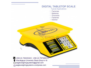 Digital Precision Industrial Weighing Scales