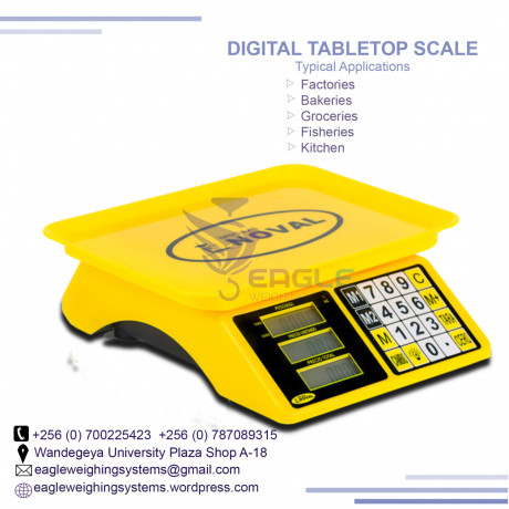 digital-precision-industrial-weighing-scales-big-0