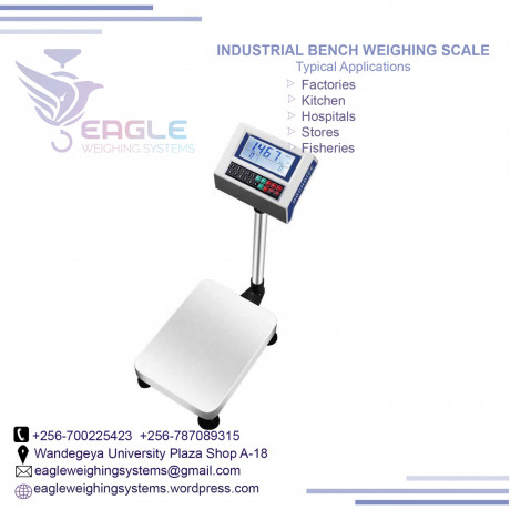 where-to-buy-waterproof-weighing-scales-in-kampala-big-0