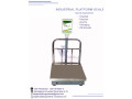 tcs-system-electronic-bench-weighing-digital-platform-scales-small-0