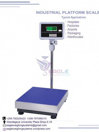 weighing-floor-scales-at-eagle-weighing-systems-ltd-big-0