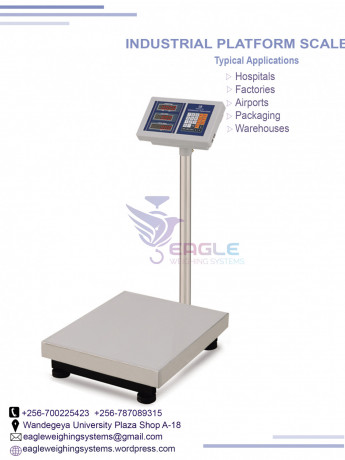 weighing-floor-scales-at-eagle-weighing-systems-ltd-big-0