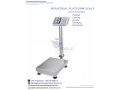 weighing-floor-scales-at-eagle-weighing-systems-ltd-small-0