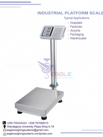 weighing-floor-scales-at-eagle-weighing-systems-ltd-big-0