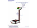 digital-weight-3-ton-electric-warehouse-weighing-scales-small-0