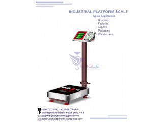 Digital weight 3 ton electric warehouse weighing scales