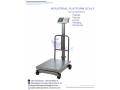 300kg-electronic-digital-industrial-platforms-kampala-small-0