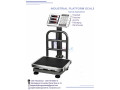 300kg-digital-platform-weighing-scale-small-0