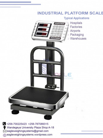 300kg-digital-platform-weighing-scale-big-0