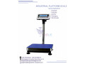 large-platform-electronic-dog-pet-scaleanimal-scalepostal-scale-small-0