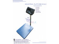 100kg-bench-scale-indisturial-platform-scale-weighing-scale-small-0