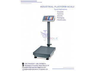 High Accuracy Bathroom weighing scales