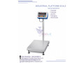 digital-industrial-weighing-scales-small-0