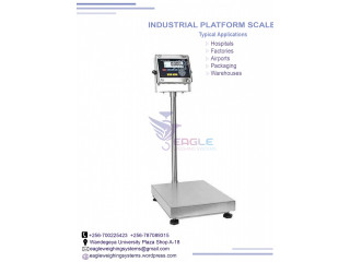 Accurate household bathroom weighing scales