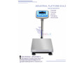 retail-bar-code-printing-label-scales-small-0