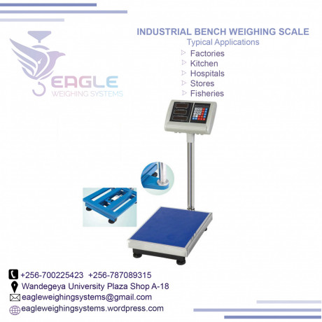 where-to-buy-shop-weighing-scales-in-kampala-big-0