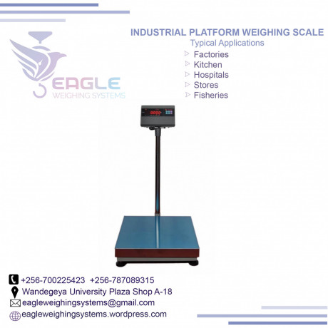 how-much-is-a-portable-weighing-scale-in-kampala-uganda-big-0