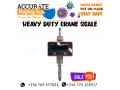 discounted-crane-scale-with-wired-displays-at-affordable-prices-small-0