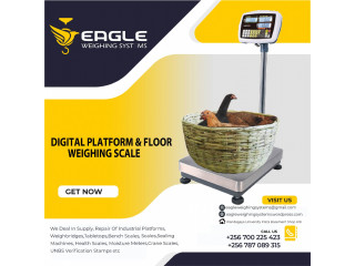 LCD display power electronic platform weighing scale