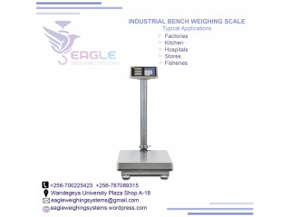 Tcs system electronic bench weighing digital platform scales in kampala