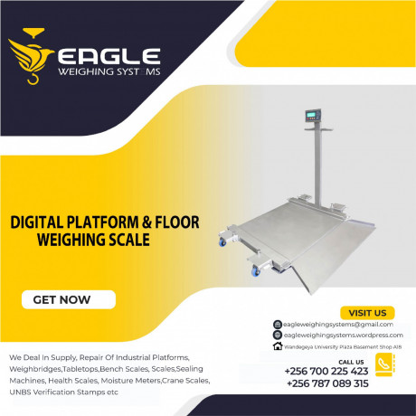 weighting-balance-electronic-price-platform-scale-big-0